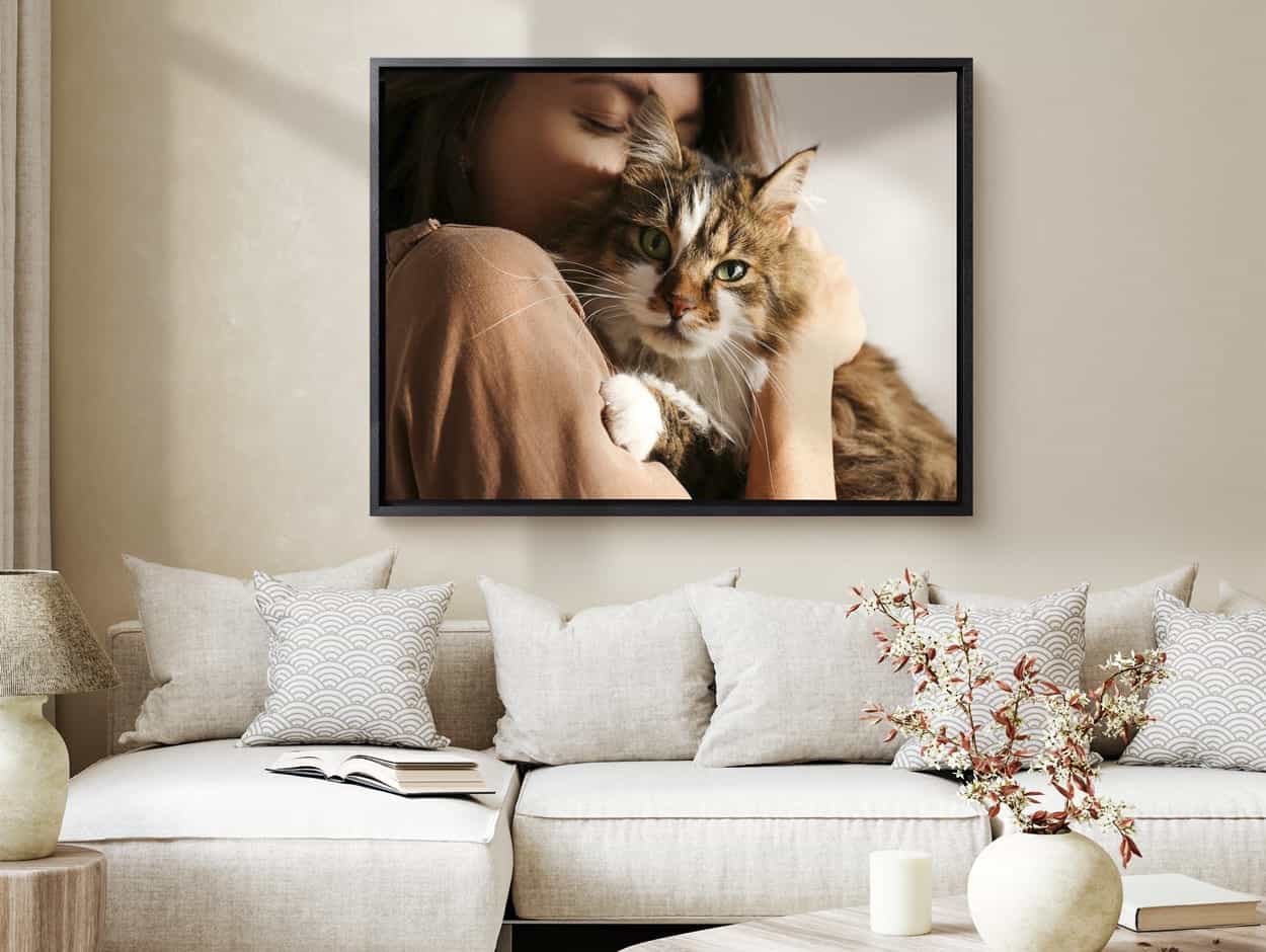 Foto einer Katze auf Leinwand mit Schattenfugenrahmen